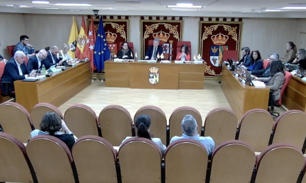 Divergencias sobre la gestión económica